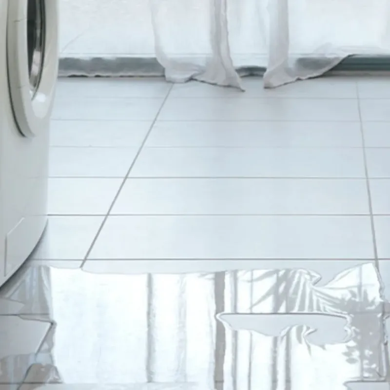 Appliance Leak Cleanup in Clark County, AR